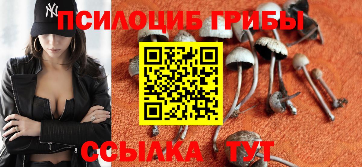 Псилоцибиновые грибы мухоморы  как найти   Ульяновск  Вход с VPN 
